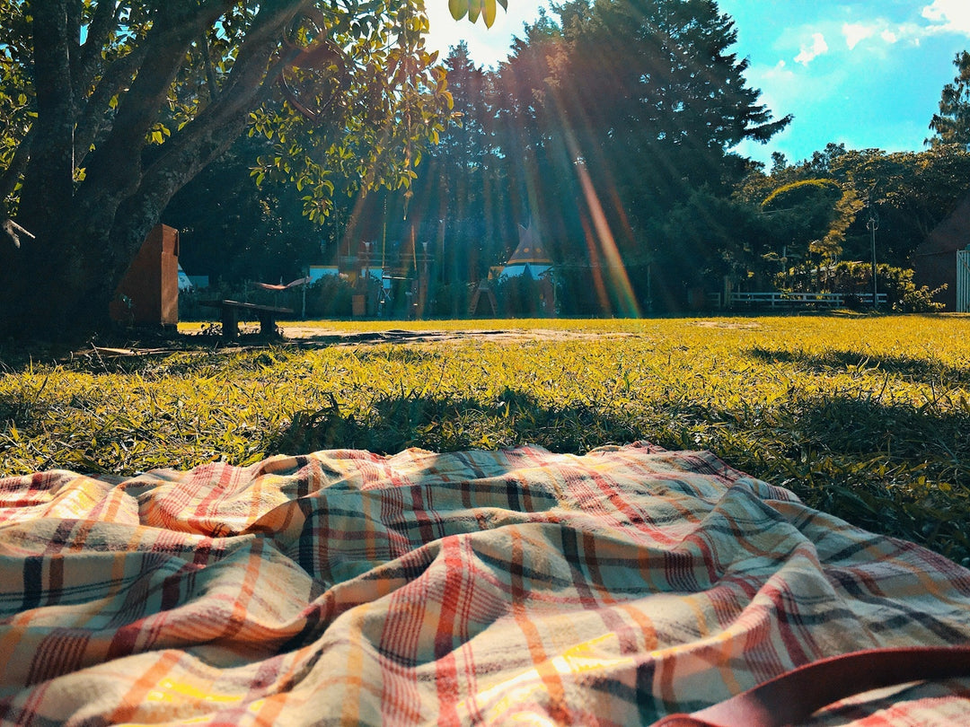 A picnic blanket in the sun